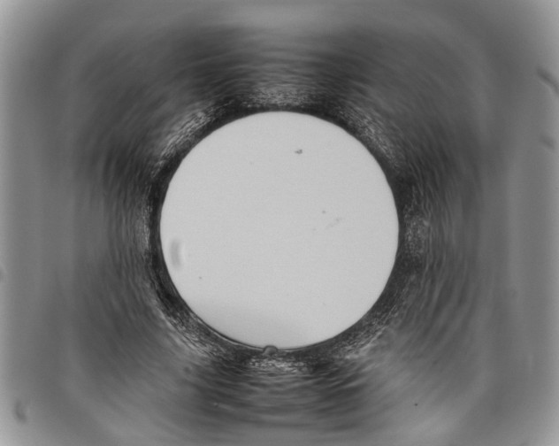 X0000097780635200803281702