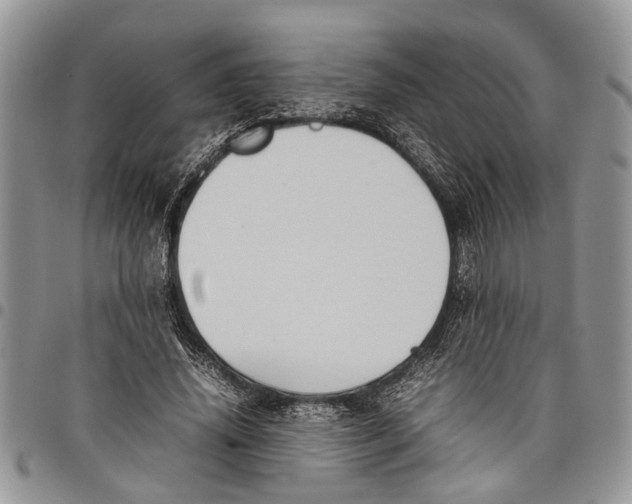 X0000097780636200803281702