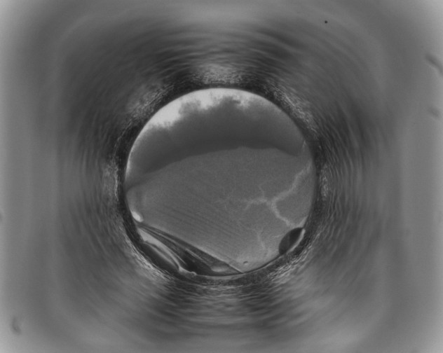 X0000097780637200803281702