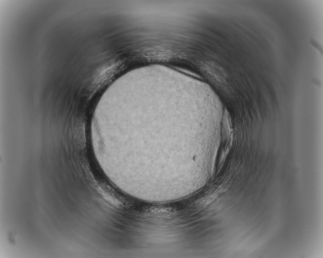 X0000097780638200803281702