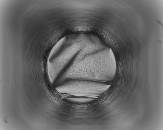 X0000097780639200803281702