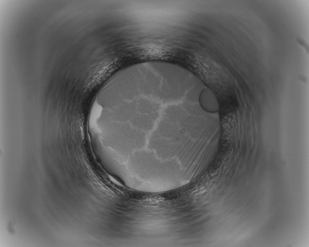 X0000097780642200803281702