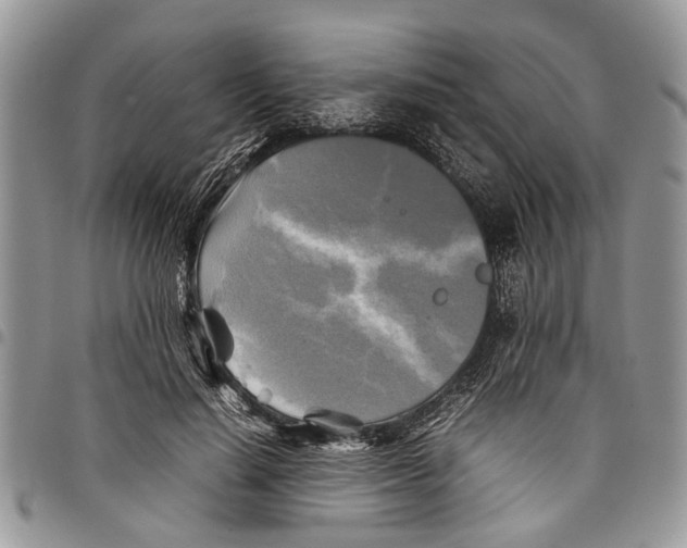 X0000097780644200803281702