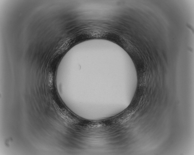 X0000097780646200803281702