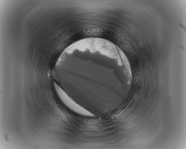 X0000097780647200803281702