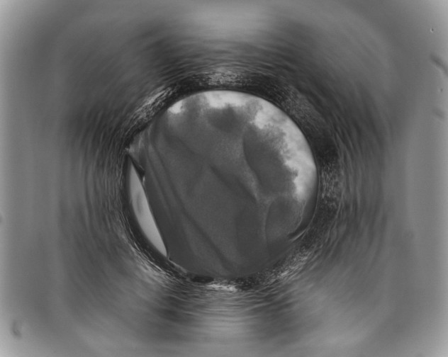 X0000097780648200803281702