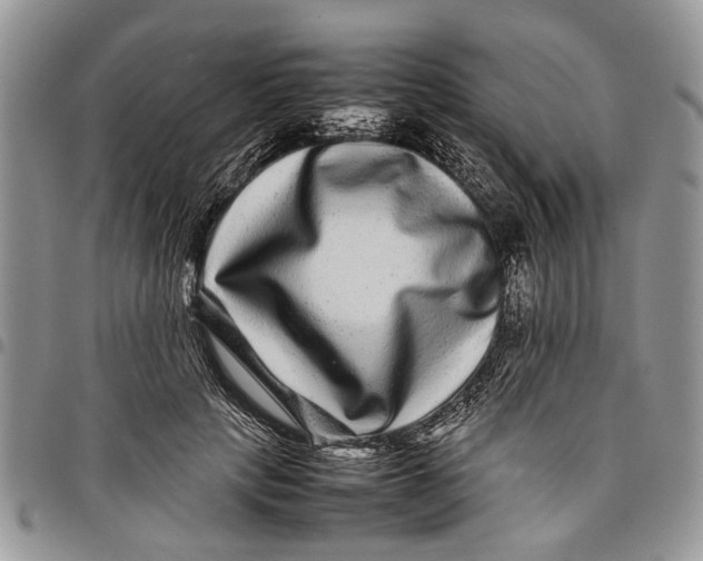 X0000097780649200803281702