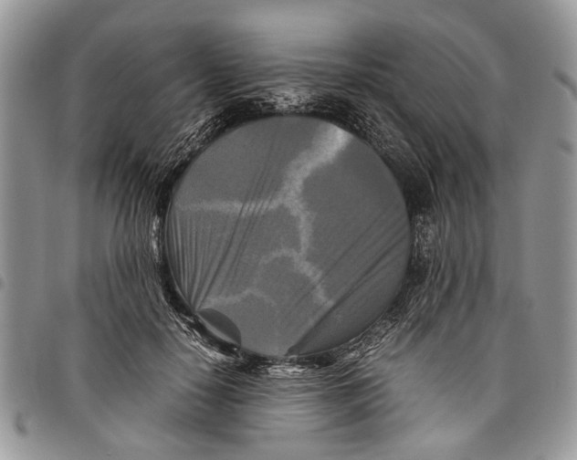 X0000097780650200803281702