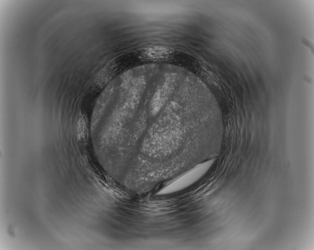 X0000097780651200803281702