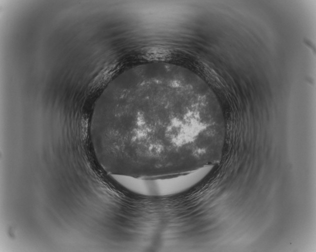 X0000097780652200803281702