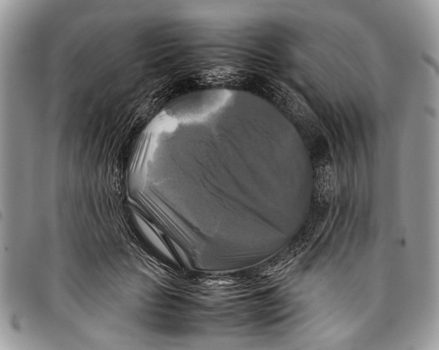 X0000097780653200803281702