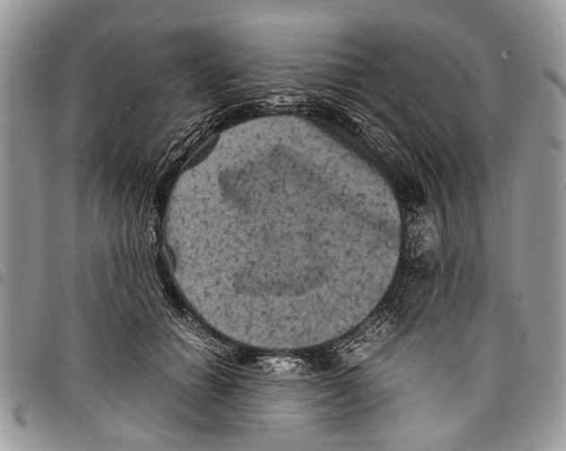 X0000097780654200803281702