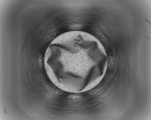 X0000097780655200803281702