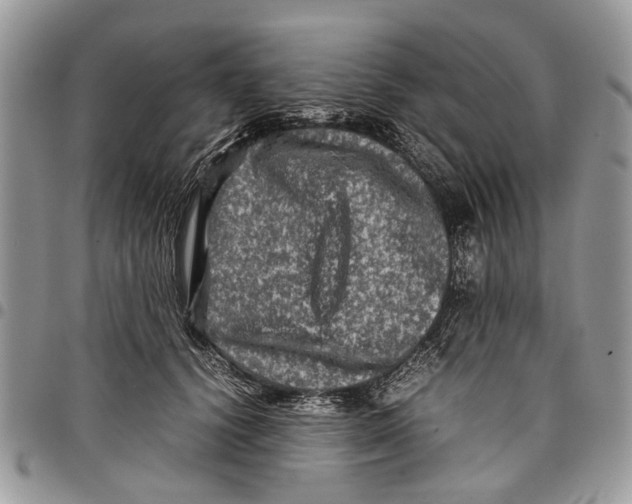 X0000097780656200803281702