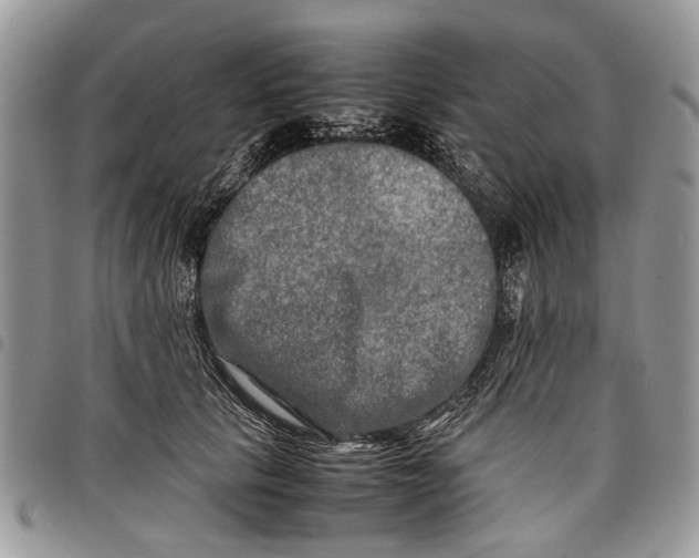 X0000097780657200803281703