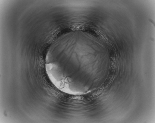 X0000097780659200803281703