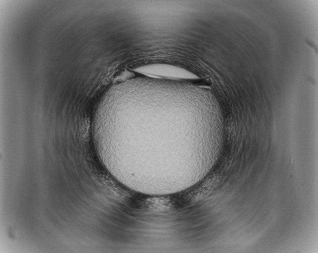 X0000097780660200803281703