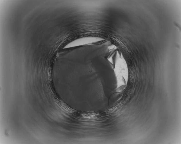 X0000097780661200803281703