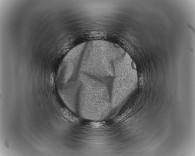 X0000097780662200803281703