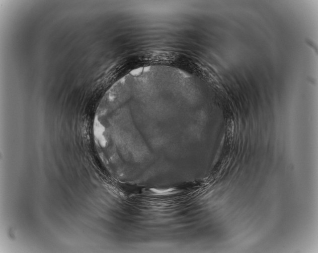 X0000097780663200803281703