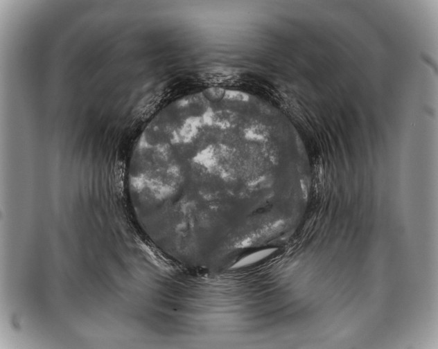 X0000097780664200803281703