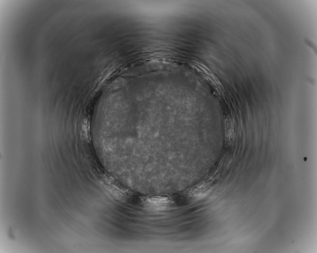 X0000097780669200803281703