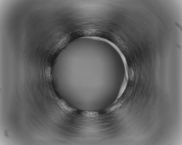 X0000097780670200803281703