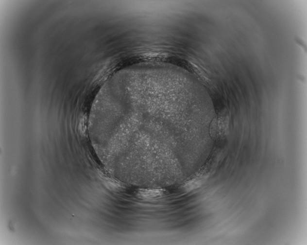 X0000097780671200803281703