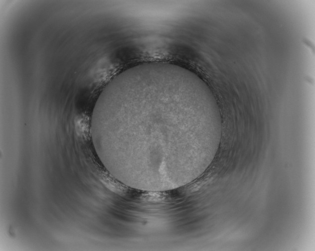 X0000097780672200803281703