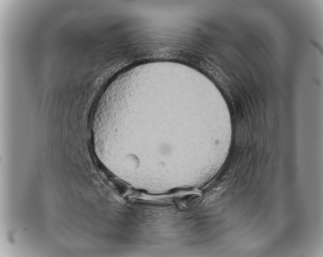 X0000097780673200803281702