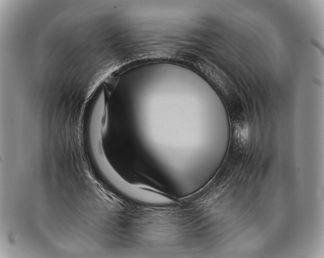 X0000097780676200803281702