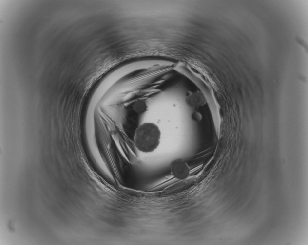 X0000097780677200803281702