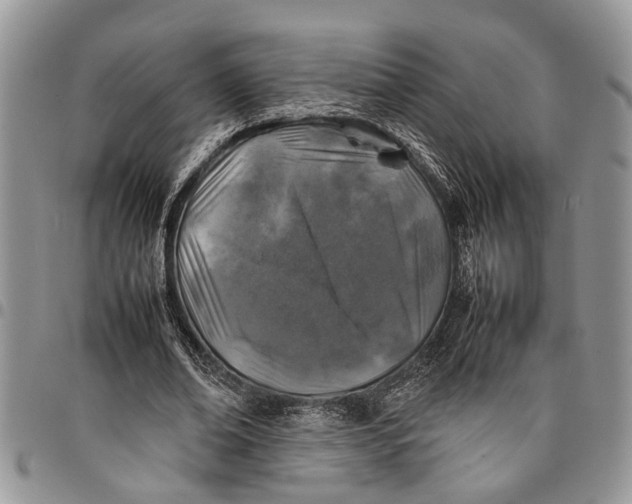 X0000097780678200803281702