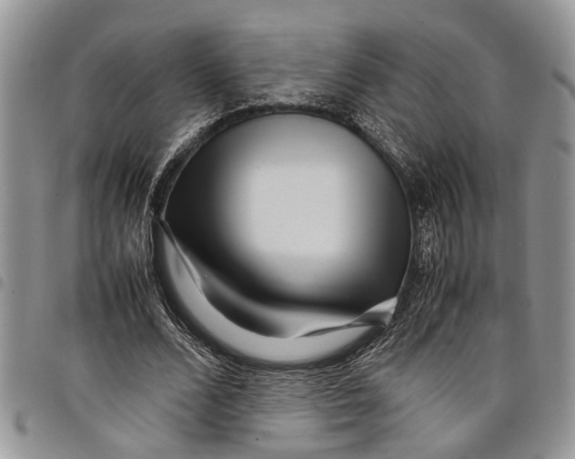 X0000097780680200803281702