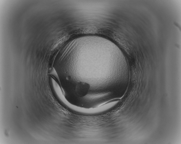 X0000097780681200803281702