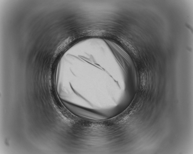 X0000097780682200803281702