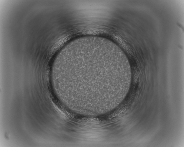 X0000097780683200803281702