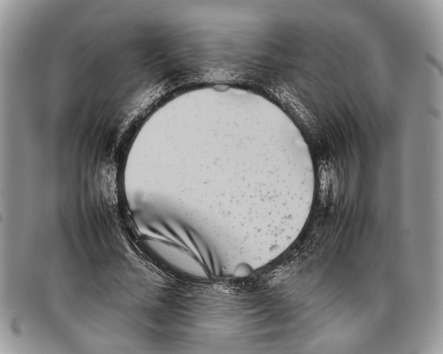 X0000097780684200803281702