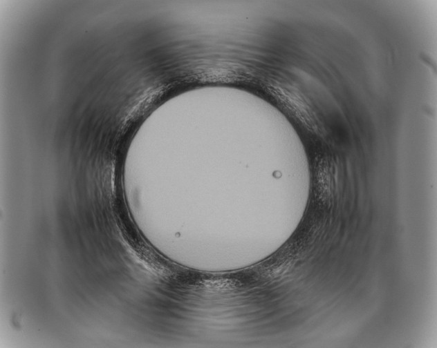 X0000097780686200803281702