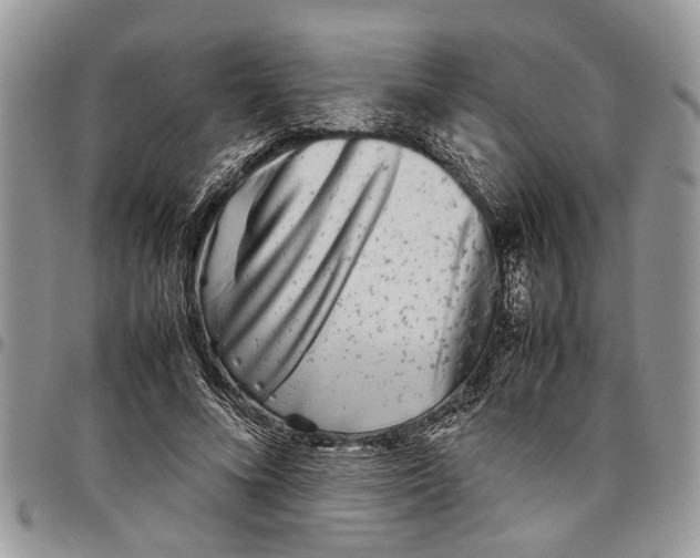 X0000097780688200803281702