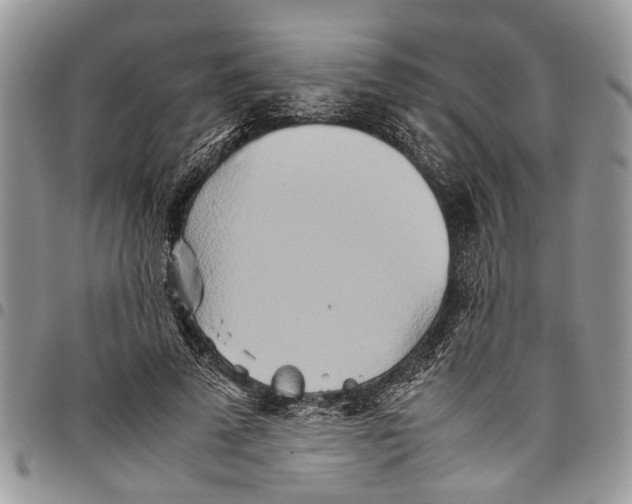 X0000097780689200803281702