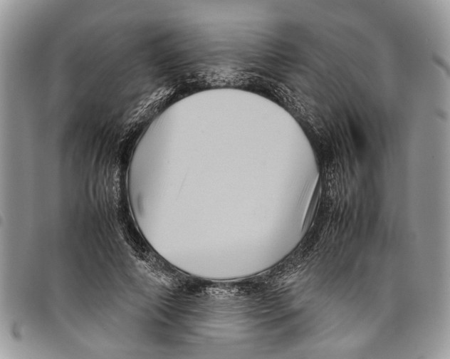 X0000097780690200803281702