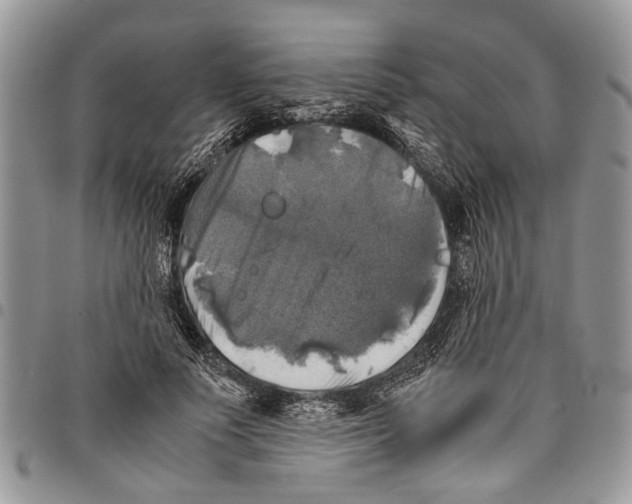 X0000097780691200803281702