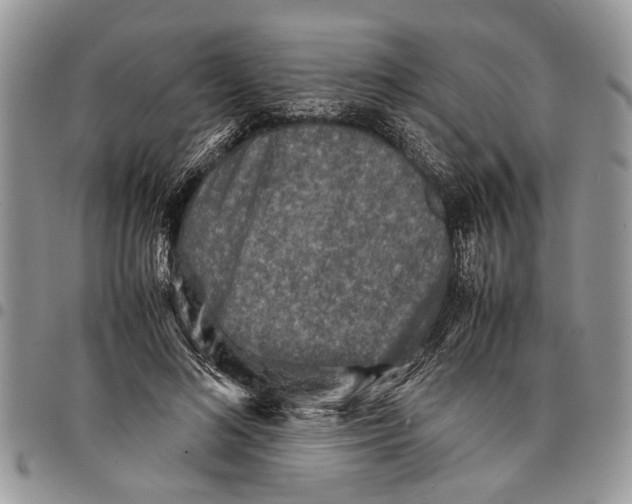 X0000097780692200803281702