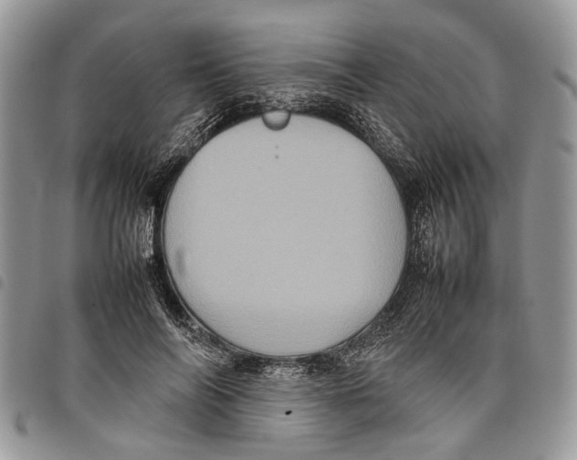 X0000097780694200803281702