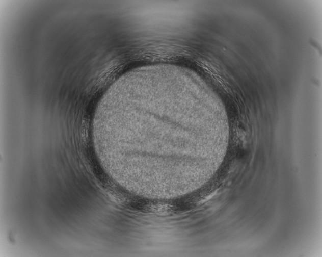 X0000097780695200803281702