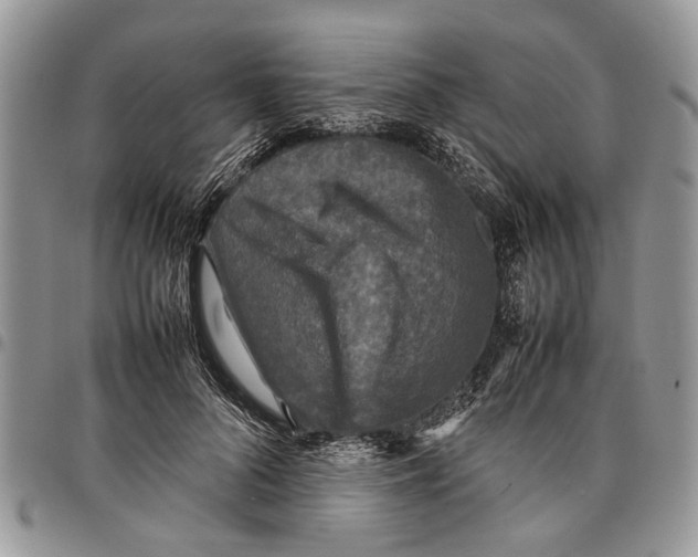 X0000097780696200803281702