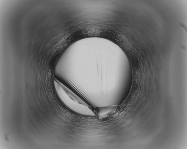 X0000097780697200803281702