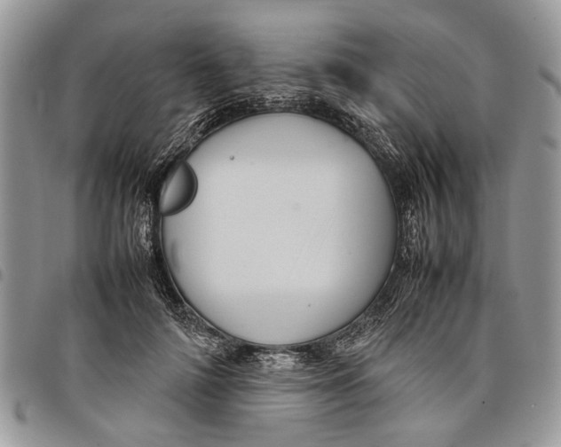 X0000097780698200803281702