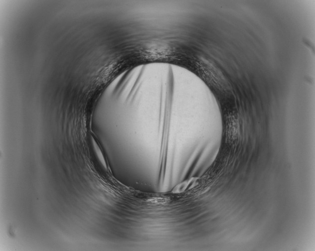 X0000097780700200803281702